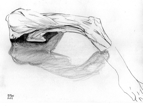 dessin plastine ULC anatomie (4)